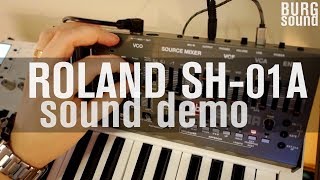 Roland Boutique SH-01A - What To Know & Where To Buy Roland Boutique SH-01A - What To Know & Where To Buy