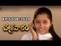 Episode 1020 Chakravakam Telugu Daily Serial Manjula Naidu Loud Speaker