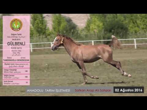 GÜLBENLİ ( TAMERİNOĞLU - DENİZBOZAN )