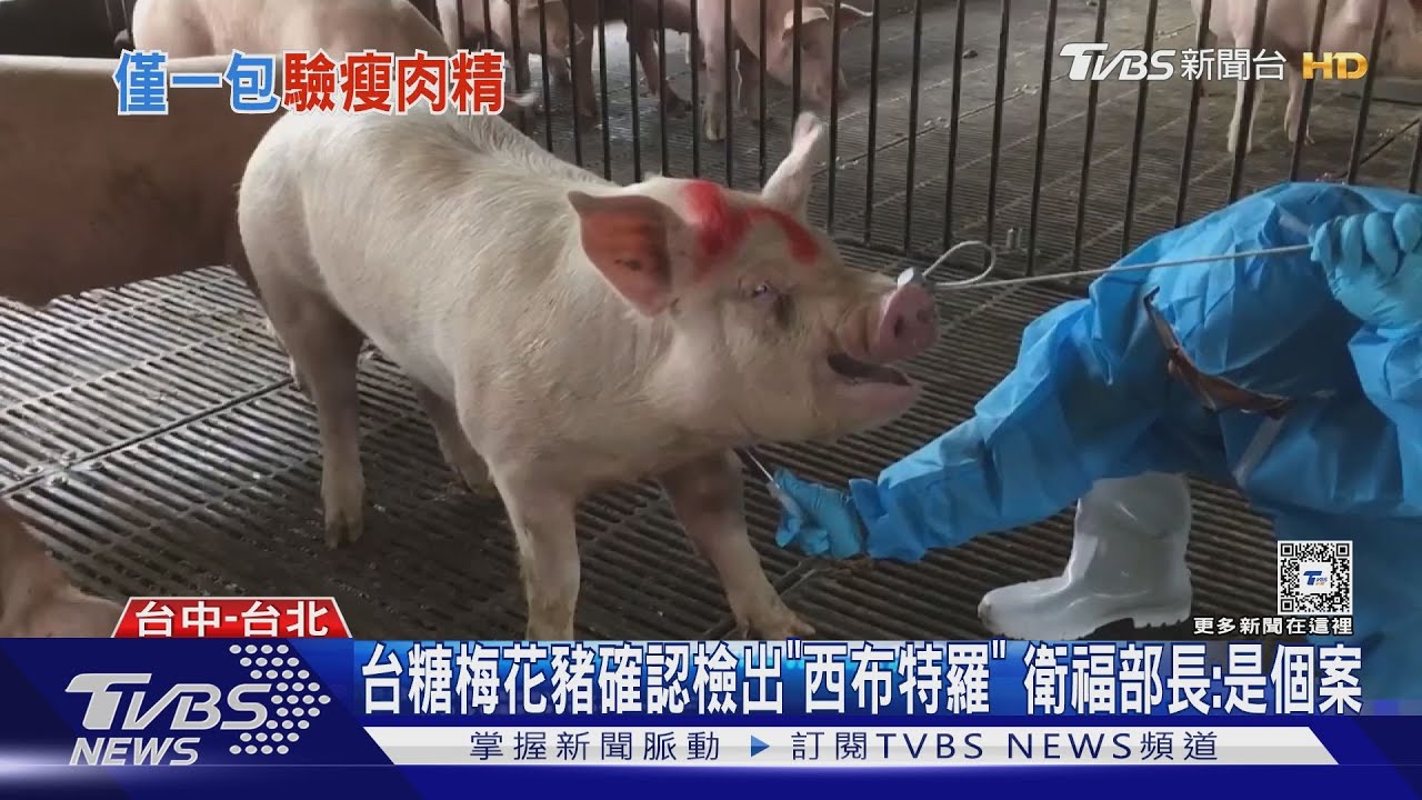 追是否混到美國豬?專家:可驗豬肉脂肪酸