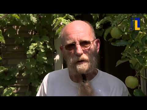 Óngerwaeg in Sevenum: Jamaica! - 22 augustus 2022