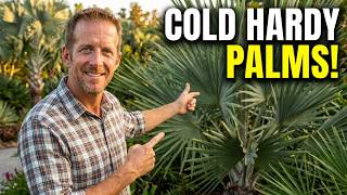 Tropical Paradise in a Cold Climate | 18 Freeze-Proof Palms