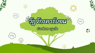 วัฏจักรคาร์บอน (carbon cycle)