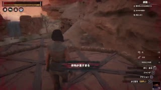 ［Conan］動物が追加された様なので