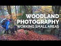 Woodland Photography - Working Small Areas