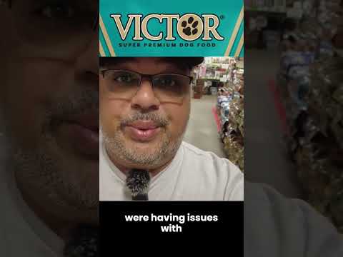 Why I No Longer Use Victor #americanbullyxl #qbnkennel
