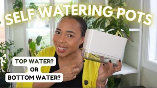 💦DEEP DIVE into self watering pots, Q & A and Amazon “shopping”