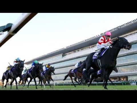 2021 QEII CUP (G1) | AKAI ITO | HANSHIN, JAPAN |
