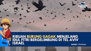 Download lagu RIBUAN BURUNG GAGAK MENJELANG IDUL FITRI BERGELIMBUNG DI TELAVIV ISRAEL mp3