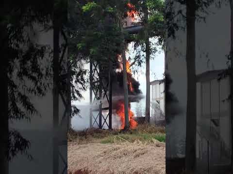 figo em Nova Alvorada do Sul MS