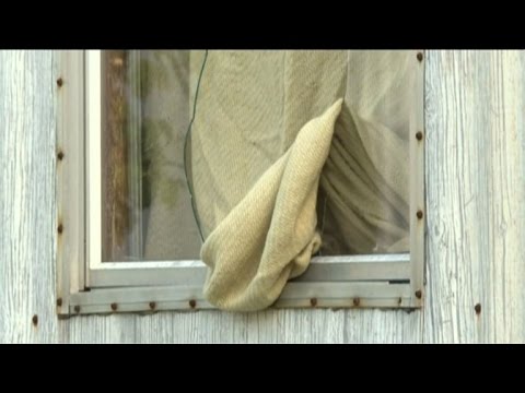 Elfjähriger erschießt Mädchen im Streit um Hund