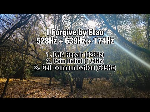 I Forgive 528Hz + 639Hz + 174Hz by Etao