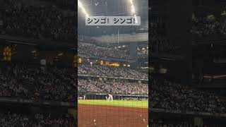 【ロッテ】石川慎吾 応援歌 #エスコンフィールド北海道 #ファイターズ #プロ野球#千葉ロッテマリーンズ#神戸