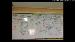 20) Dr. wael salah errors of refraction 5 + squint