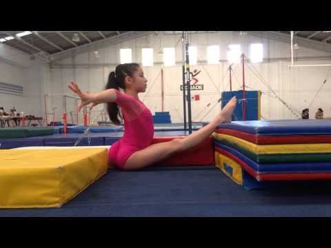 Age Group Programme – Women's Artistic Physical Ability Testing Programme - Flexibility - Exercise 1