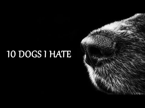 10 Dogs I Hate