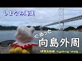 ぐるっと向島外周【cycling vlog 2021.08.07】