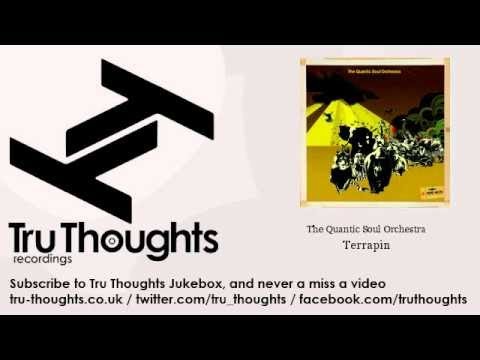 The Quantic Soul Orchestra - Terrapin