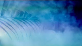 The Last Royals - Only The Brave (Official Video Trailer)