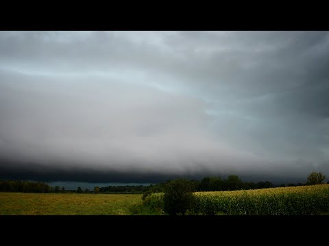 High Winds, Vivid Lightning, Epic Shelf Cloud Structure - Severe Storms in Eastern WI - 8/24/21