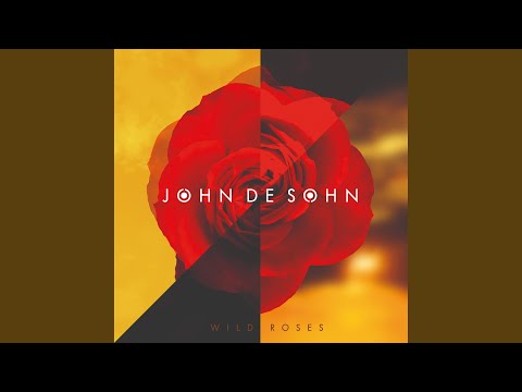 Wild Roses - John De Sohn