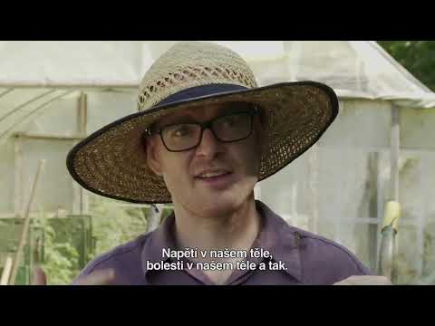 Náhled pro video reference