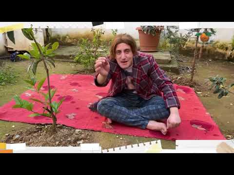 Portokalli, 22 Mars 2020 - Betimi ( Pse qaheni kotë)