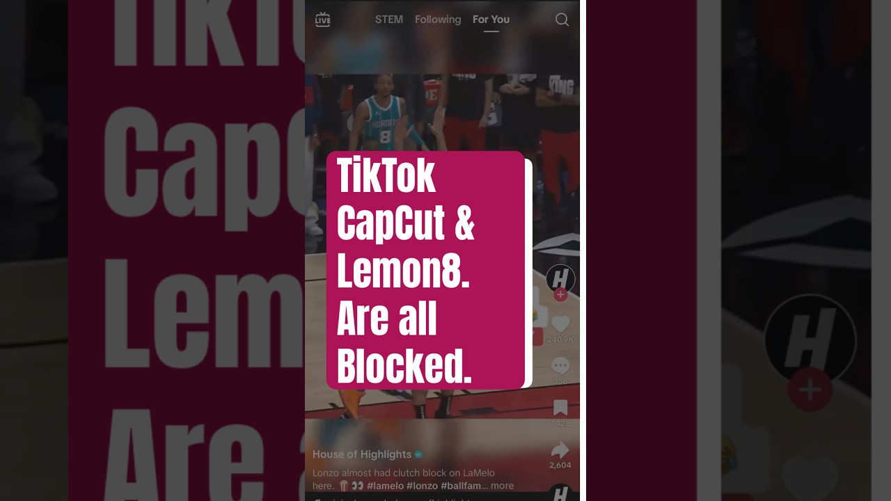 TikTok,CapCut & Lemon8 have all been blocked. What a very sad day for creators and small businesses.