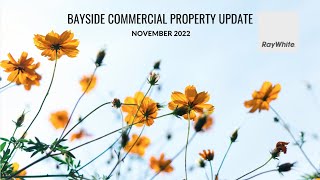 November 2022 Monthly  Market Update