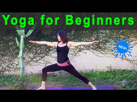 Yoga for Beginners | an introduction to beginners yoga (26 min) 💗 Video