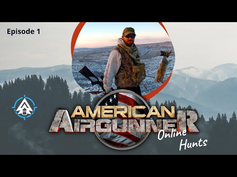 Steve vs Rabbits Online Hunt  with the Umarex Octane | American Airgunner