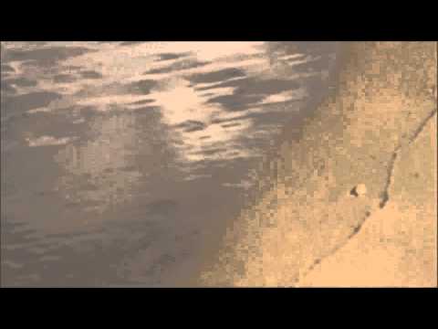 The Sand and the Sea