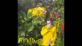 The Front Bottoms - Raining // Audio