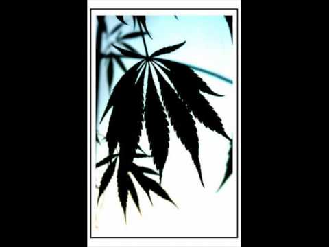 Crazy Tone Vs Bussy - Tiny Nation