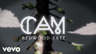 Cam - Redwood Tree (Behind The Scenes)