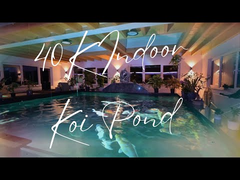 Der 40000 Liter Indoor Koi Teich von Koi Villa Deluxe!