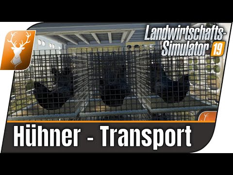 LS19 Modvorstellung // Hühner kaufen und transportieren // Livestock Trailer Addon // LS19 Mods