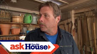 How to Grow and Care for Orchids