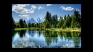 Cumbias instrumentales