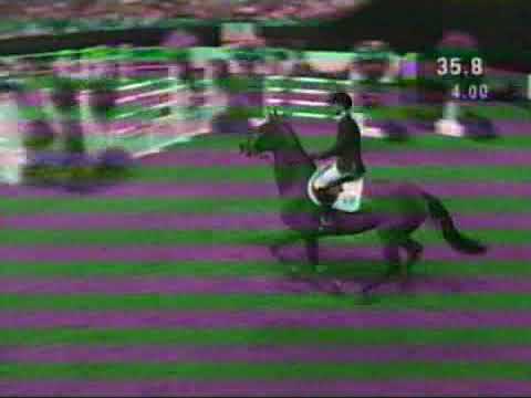 Malin Baryard - H&M Butterfly Flip - World Cup Final