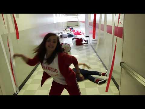 2014 Stanwood High School Lip Dub