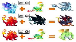 How To Breed All Dragons in Dragon City