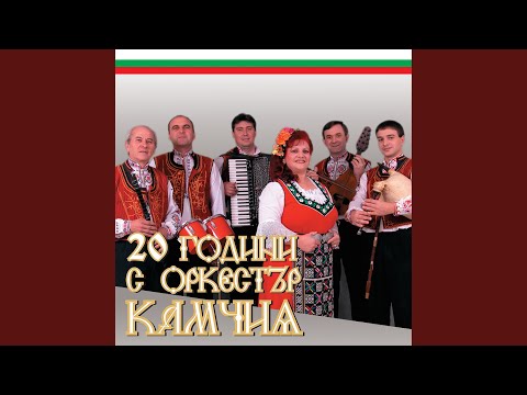 Георги на Дена думаше