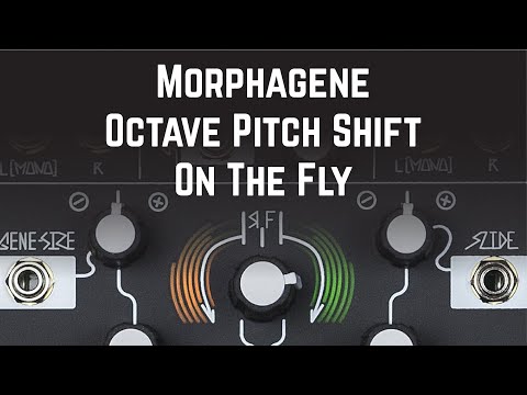 TIPS & TRICKS - How to pitch shift Morphagene in octaves on the fly