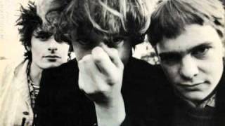 The Clean - Anything Could Happen