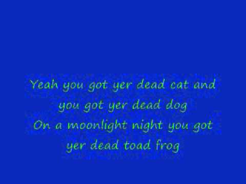 Dead skunk in the middle of the road (lyrics)