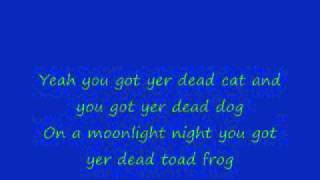 Dead skunk in the middle of the road (lyrics)