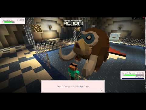Pixelmon E4 Loreili Ice Ice BAby