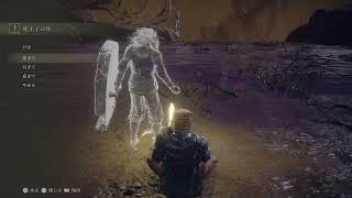 ガチでちょっとだけエルデンリングやるぞー！ PS5 パート11