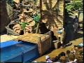 Sea World Sea Lion Otter Show Marooned 1994